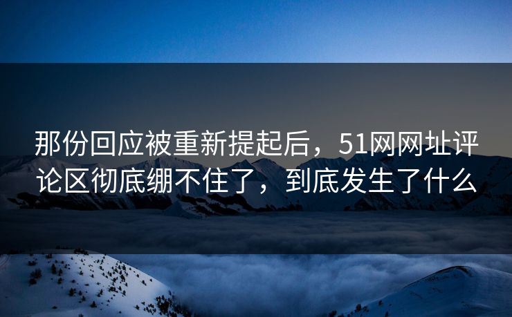 那份回应被重新提起后，51网网址评论区彻底绷不住了，到底发生了什么