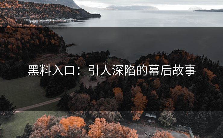 黑料入口:引人深陷的幕后故事 黑料入口:引人深陷的幕后故事