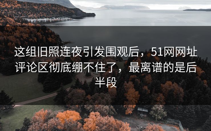 这组旧照连夜引发围观后，51网网址评论区彻底绷不住了，最离谱的是后半段