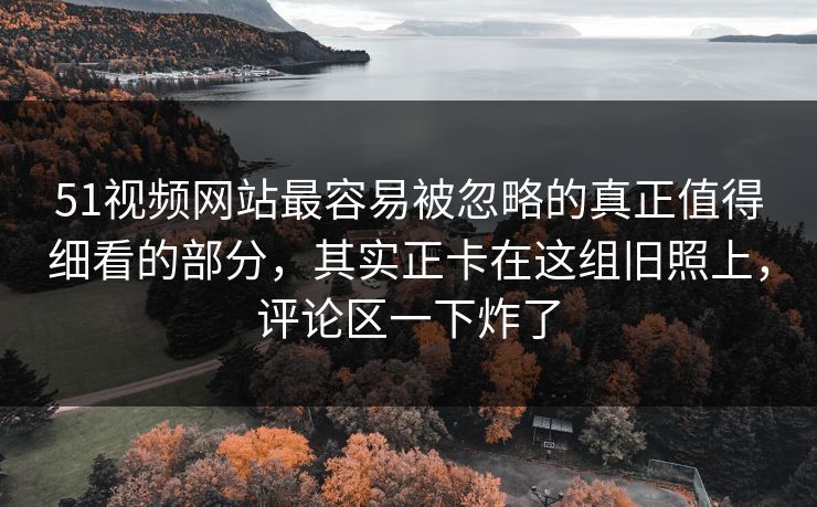 51视频网站最容易被忽略的真正值得细看的部分，其实正卡在这组旧照上，评论区一下炸了